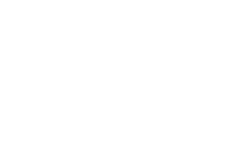 macro-500x333.png